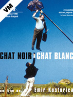 Chat-noir,-chat-blanc